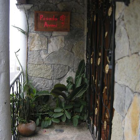 Cuetzalán del Progreso Posada Ammi المظهر الخارجي الصورة